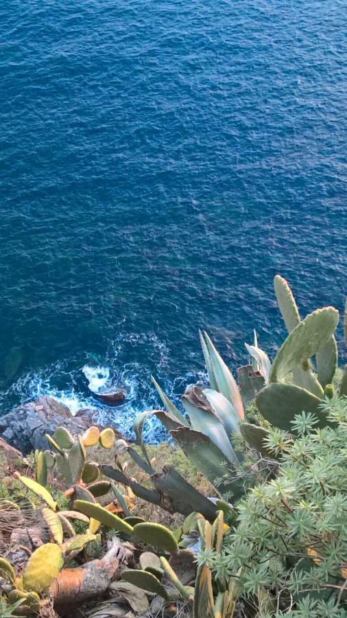 דירות מונטרוסו אל מארה The Pearl Of 5 Terre - Monterosso מראה חיצוני תמונה